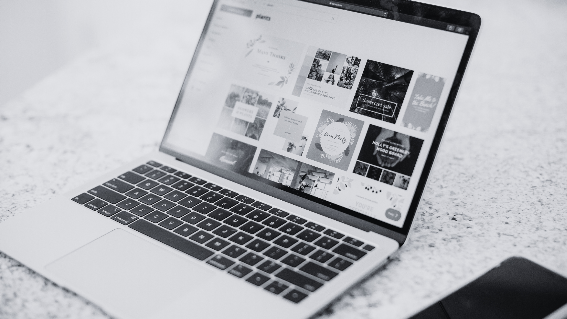 Canva Kurs für Anfänger